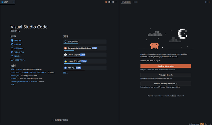 vscode 中的cc插件老是自己掉登录怎么办 - 搞七捻三 - LINUX DO