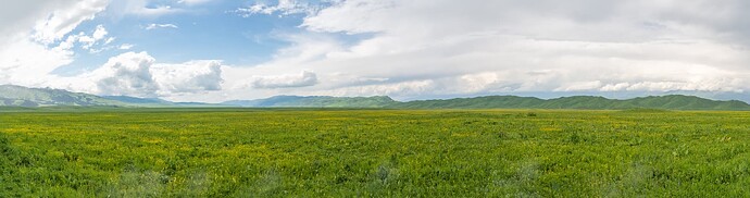 DSC08854-Pano