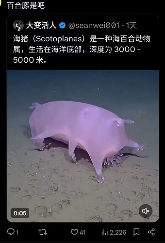 pasted-image-2026-05-09T03-01-47.png