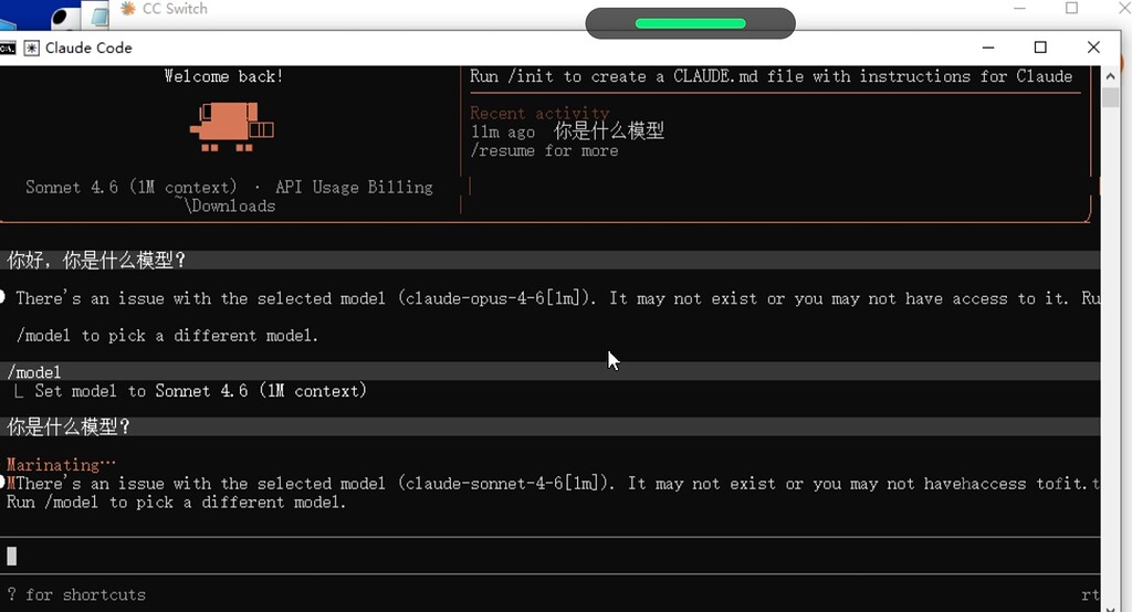 大佬们，在cc switch 中测试模型正常为什么还是这样啊？ - 开发调优 - LINUX DO
