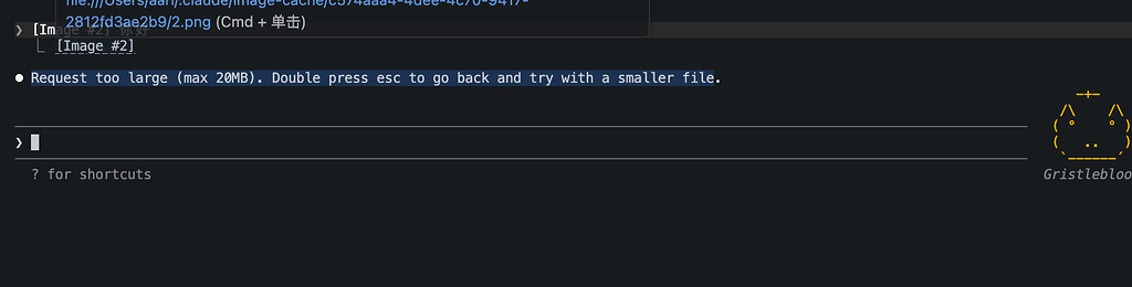 claude code Request too large (max 20MB). Double press esc to go back ...