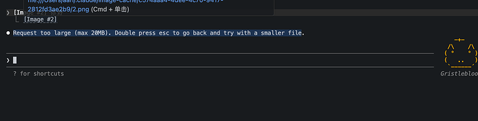 claude code Request too large (max 20MB). Double press esc to go back ...
