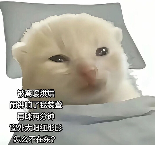 pasted-image-2026-06-10T12-34-54.png
