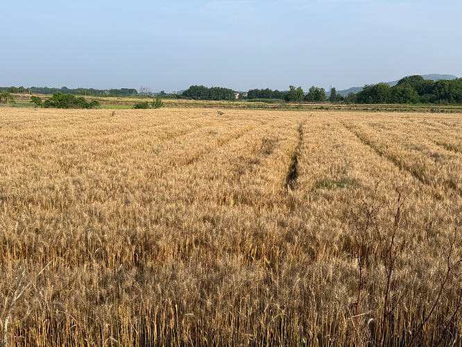 IMG_0927