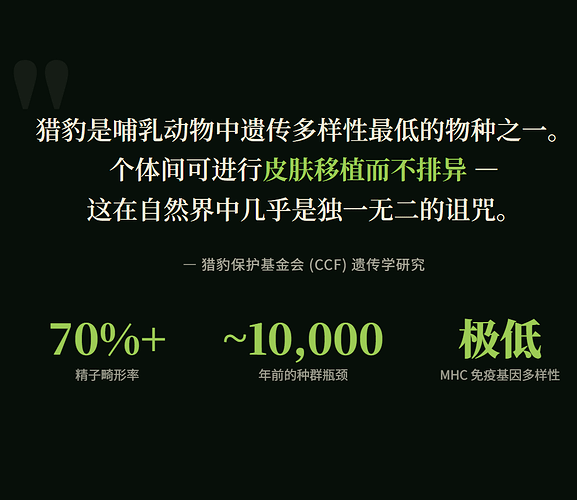xw20260529193422