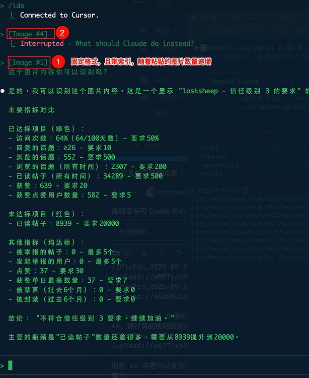 高强度使用 Codex 的心得(如何让它成为一个乖宝宝🤣) - 开发调优 - LINUX DO