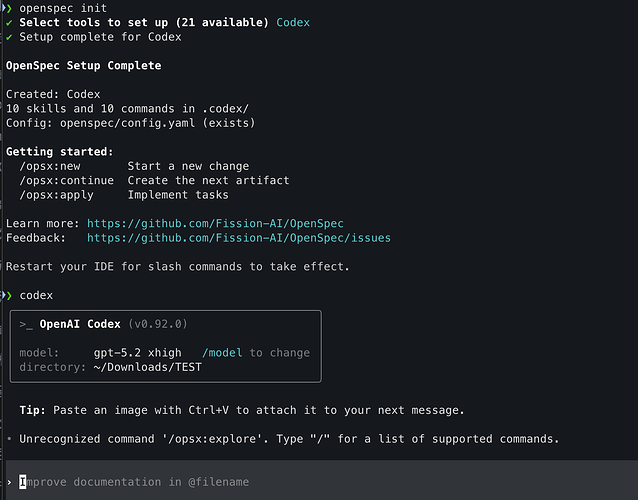 关于codex上openspec的问题咨询 - 开发调优 - LINUX DO