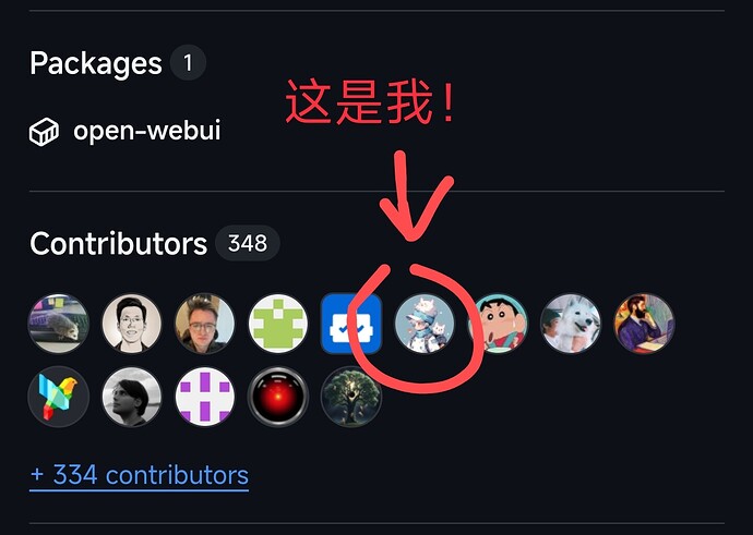 Open WebUI 汉化建议收集！ - 开发调优 - LINUX DO