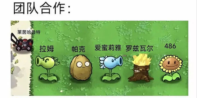 pasted-image-2026-06-06T13-14-34.png