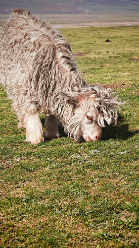 IMG_20260608_092011