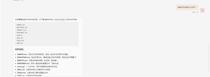 是我打开方式不对吗？咋感受不到clawdbot 能干啥？而且很容易说假话 - 开发调优 - LINUX DO