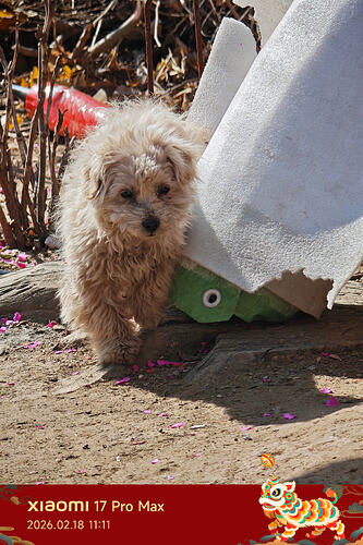 IMG_20260218_111149