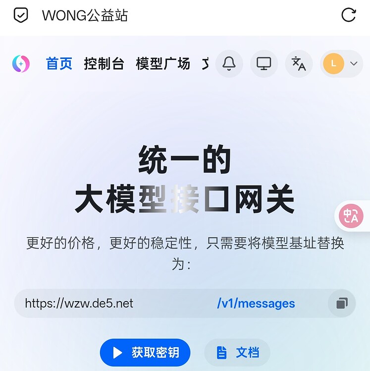 Wong公益站 - 开发调优 - LINUX DO