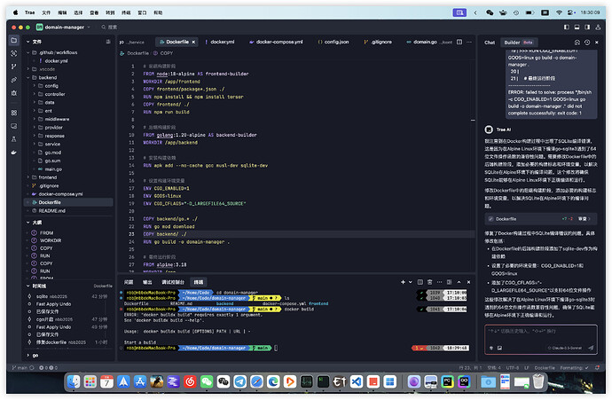 用Trae搓了个解析域名的项目 - 开发调优 - LINUX DO