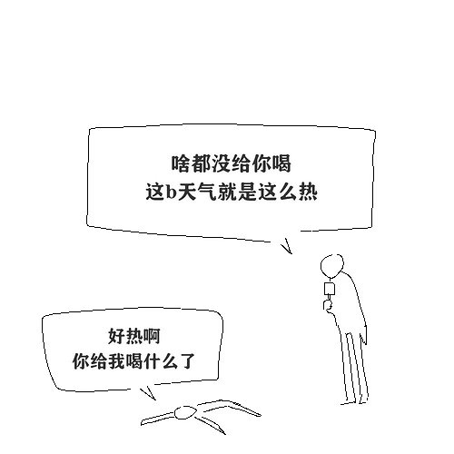 pasted-image-2026-05-13T03-04-32.png
