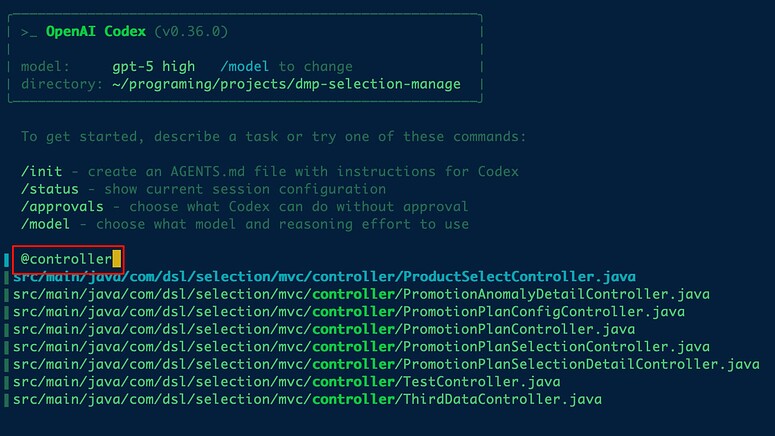 高强度使用 Codex 的心得(如何让它成为一个乖宝宝🤣) - 开发调优 - LINUX DO