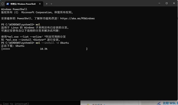 codex 使用，选择哪个？WSL还是2 - 开发调优 - LINUX DO