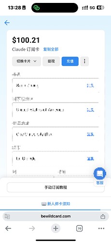 WildCard  一分钟注册，轻松订阅海外软件服务