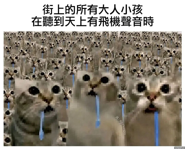 pasted-image-2026-06-10T12-26-00.png