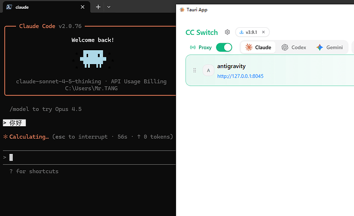Claude CLI 如何使用Antigravity Tools反代API 【已解决】 - 开发调优 - LINUX DO