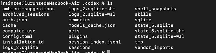 cpa接入codex求助 - #3，来自 Rainzee - 开发调优 - LINUX DO