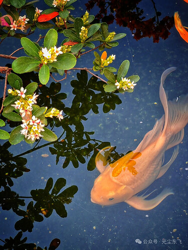 pasted-image-2026-05-15T02-23-40.png
