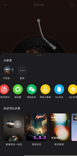 Screenshot_2026-01-12-18-50-29-978_com.netease.cloudmusic-edit