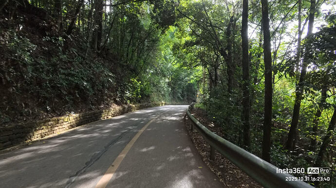 电动车路上_5