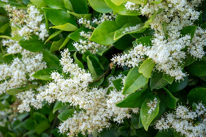 20260517-DSC00938