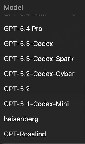 GPT5.5看来马上23号要正式发布了，能在Codex里面看到了 - 开发调优 - LINUX DO