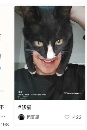 pasted-image-2026-05-11T02-43-44.png