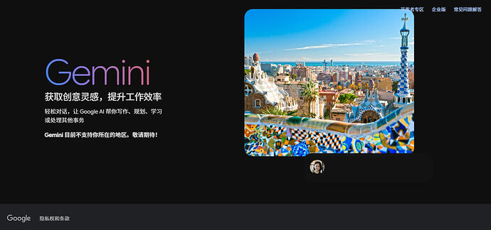 gemini依旧不支持
