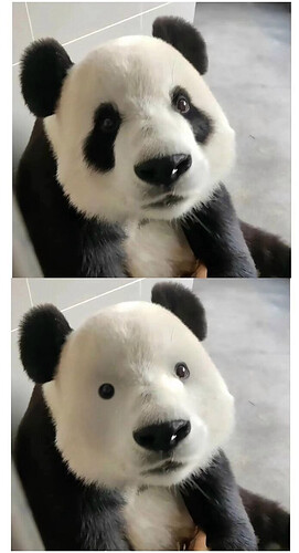 pasted-image-2026-06-04T11-44-20.png