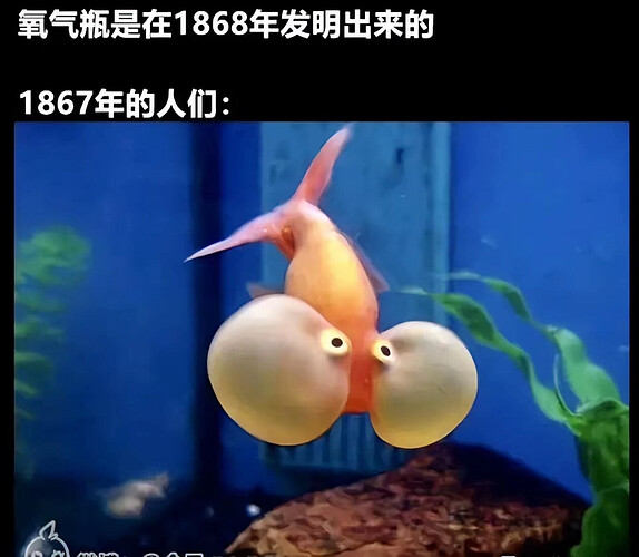 pasted-image-2026-05-28T11-23-03.png