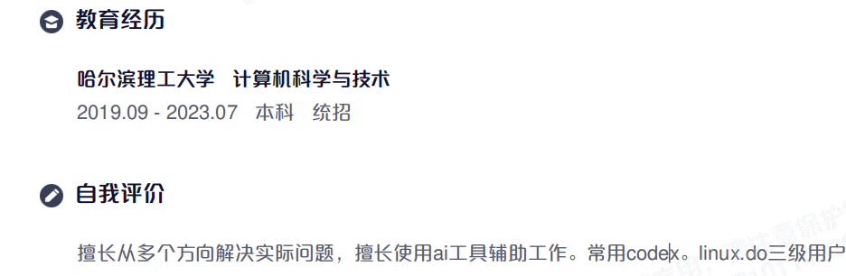 今天筛简历筛到三级佬了