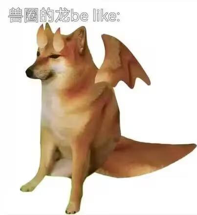 pasted-image-2026-05-05T03-43-18.png