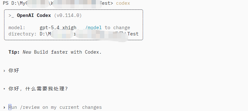 CodexManager(Codex网关)开源保姆级别配置说明 - #58，来自 qxnm - 开发调优 - LINUX DO