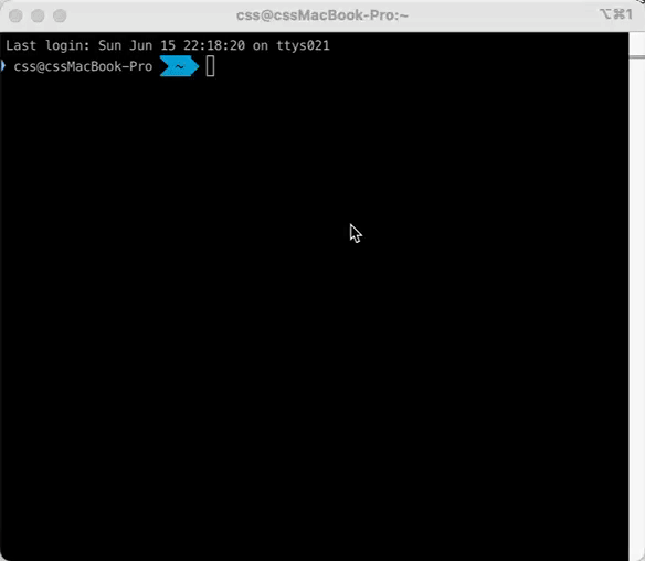 lsx：让 Linux 命令行查询更高效的神器 - 开发调优 - LINUX DO
