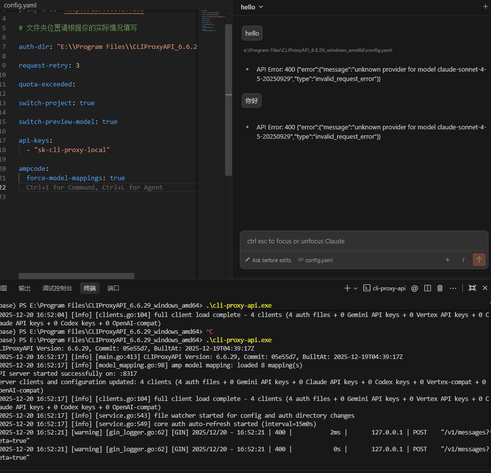 修改了一下CLIProxyAPI，单独给antigravity设置了代理 - 开发调优 - LINUX DO