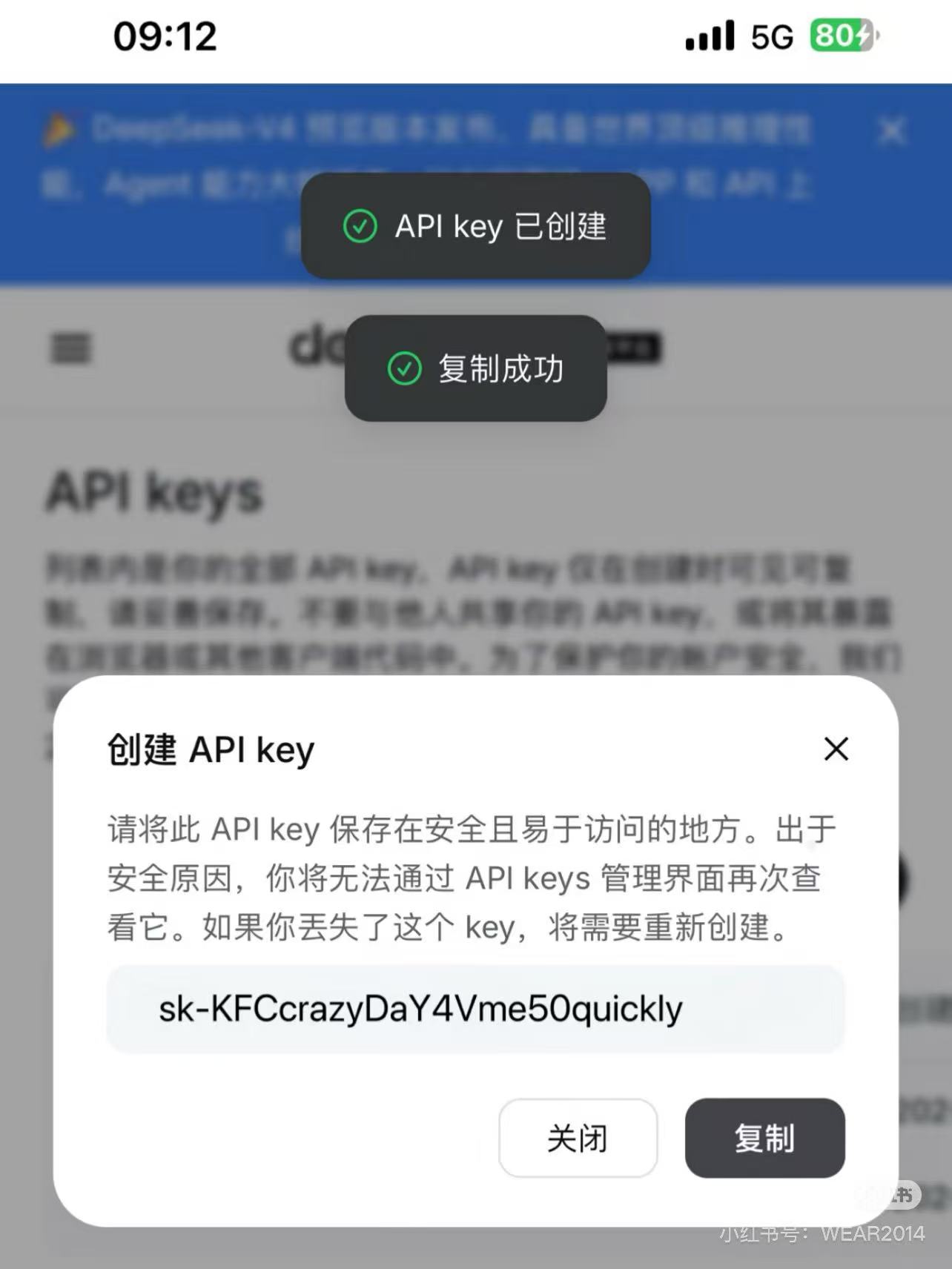 Linux Jpeg Image 新充值的DeepSeek-API - 搞七捻三 - LINUX DO