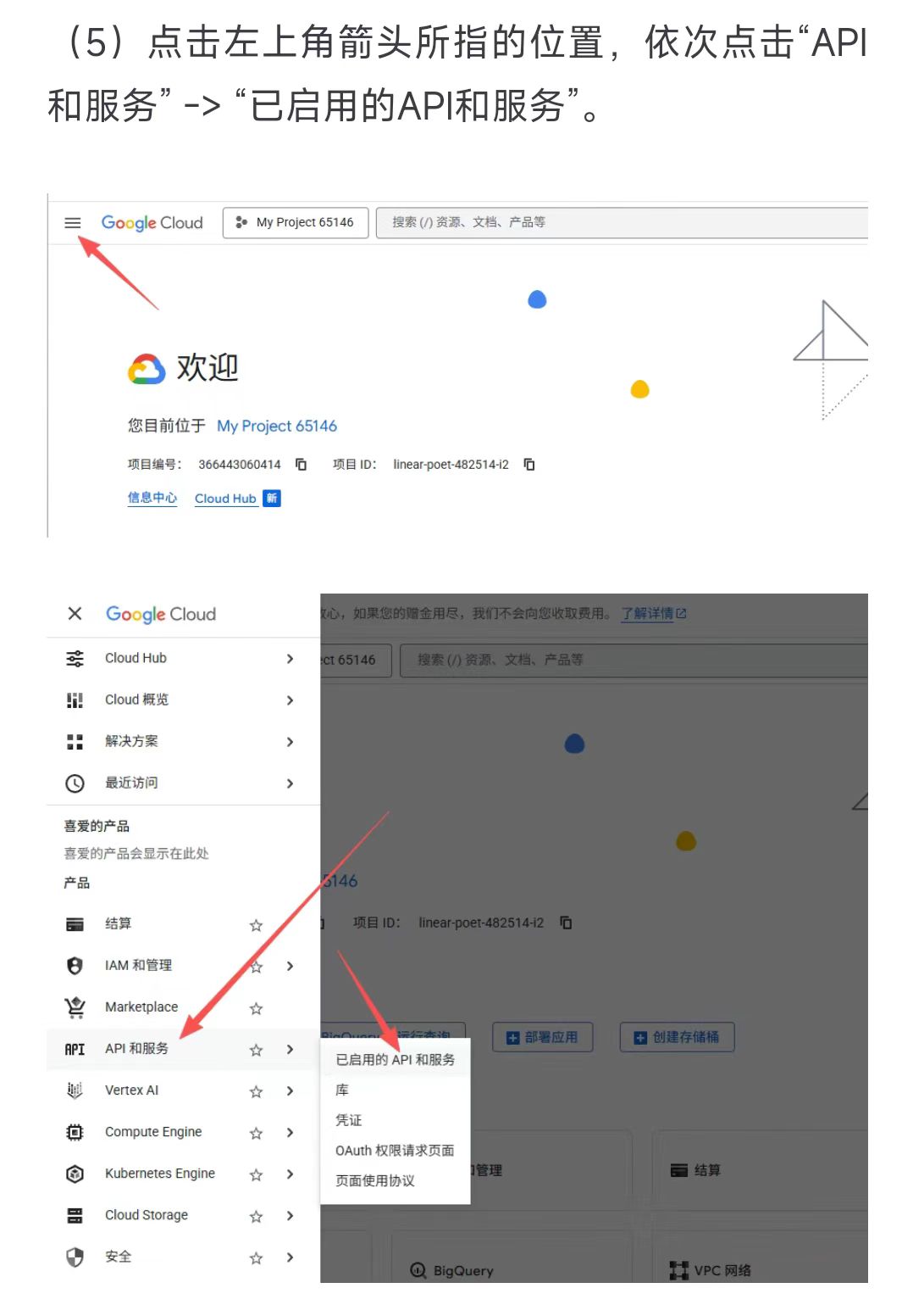 根据佬们的经验,自己写的反代Gemini CLI和Antigravity教程，感觉很好懂很详细,欢迎佬们来批评指正 - 开发调优 - LINUX DO
