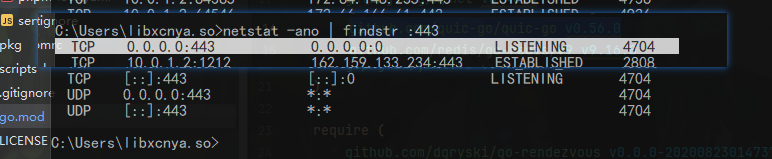 UDP 443 在 Windows 10 底下是有什么特殊的黑魔法处理吗 - 开发调优 - LINUX DO
