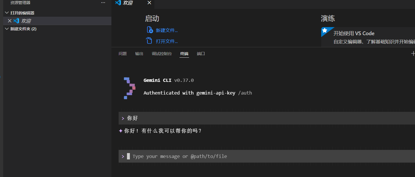 求助：如何解决Gemini终端只有在特定的项目下面显示API Error - 开发调优 - LINUX DO