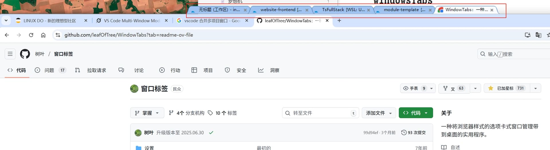 vscode 多项目窗口管理神器:windowTabs - 开发调优 - LINUX DO