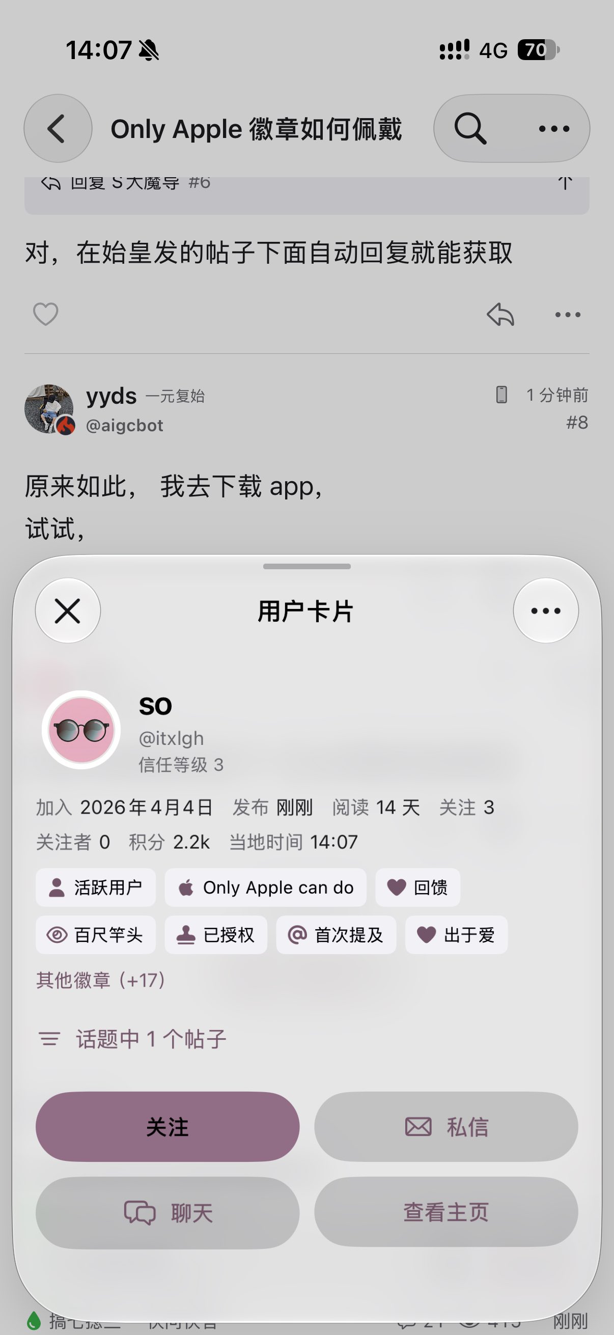 Only Apple 徽章如何佩戴 - 搞七捻三 - LINUX DO