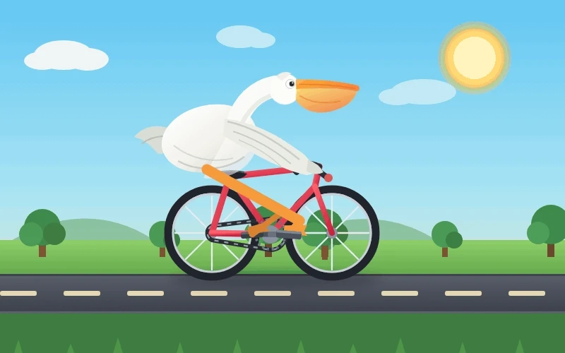 pelican-bicycle
