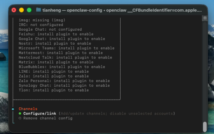 OpenClaw 部署与配置实践指南 - 开发调优 - LINUX DO