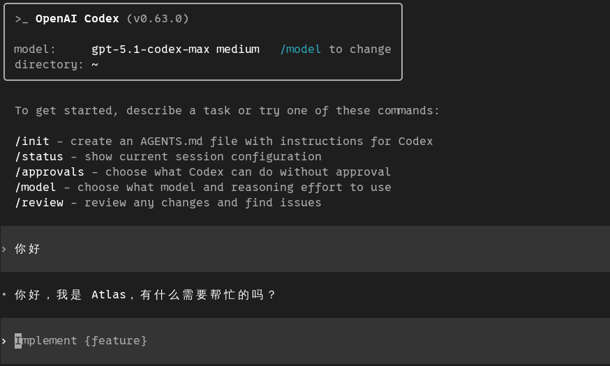 中转站使用gpt-5.1-codex-max-medium是这样配置吗？ - 开发调优 - LINUX DO