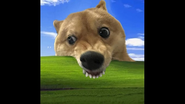 微信图片_20241213130846